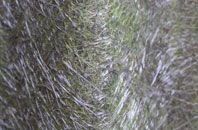 Ancoats fibreglass roof work